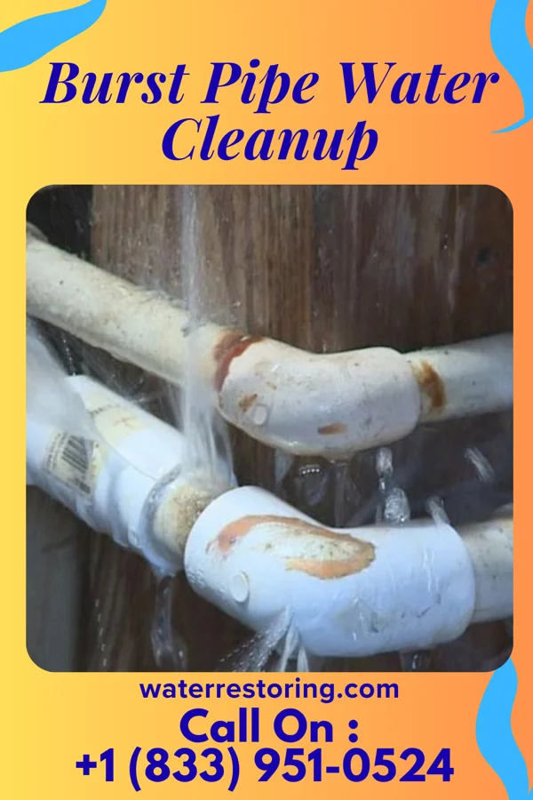 Burst Pipe Water Cleanup in Esto, FL