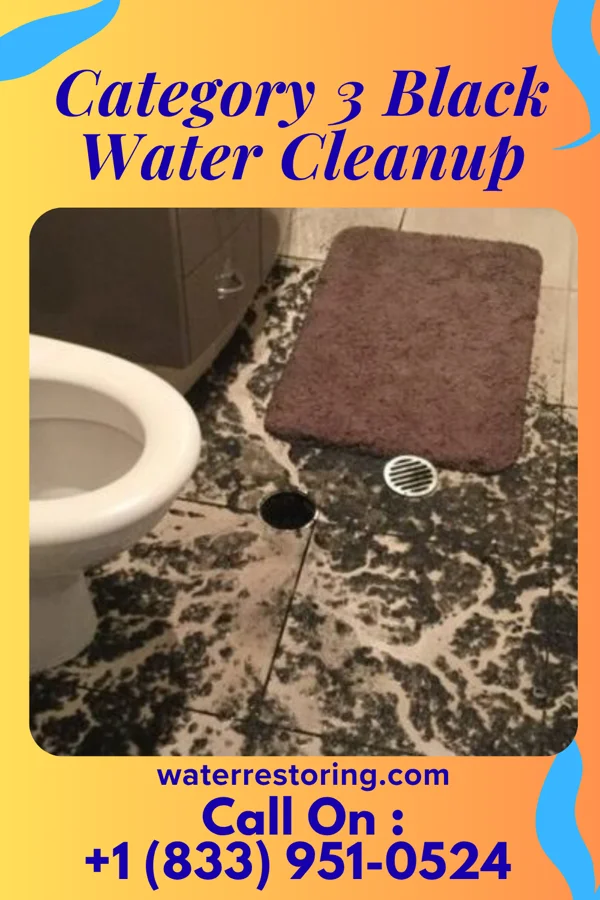 Category 3 Black Water Cleanup in Esto, FL