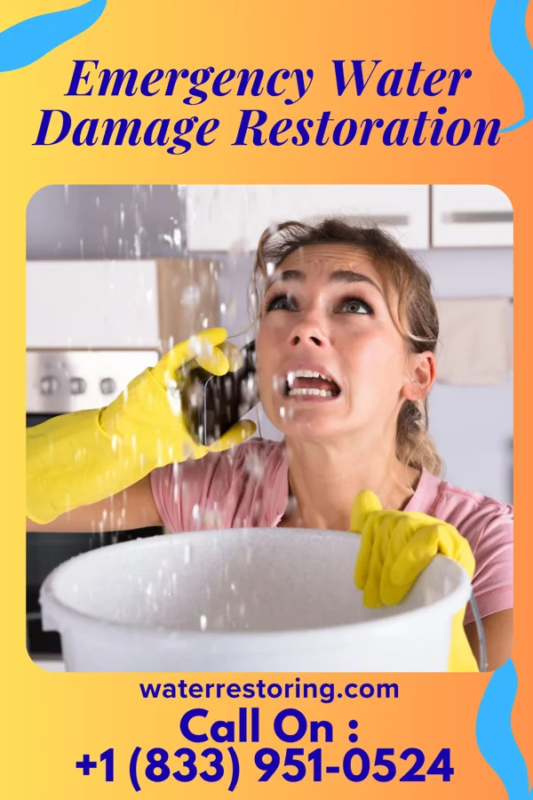 Emergency Water Damage Restoration in Esto, FL